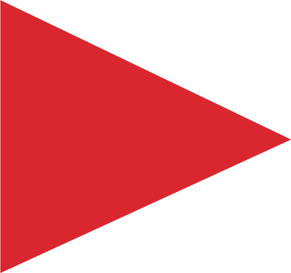 EZVideo Bullet