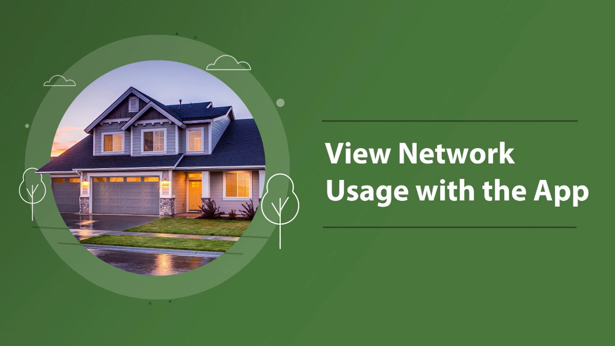 View Network Usage with the App